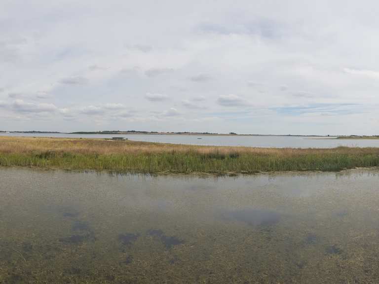 Abberton Reservoir - Cycle Routes and Map | Komoot