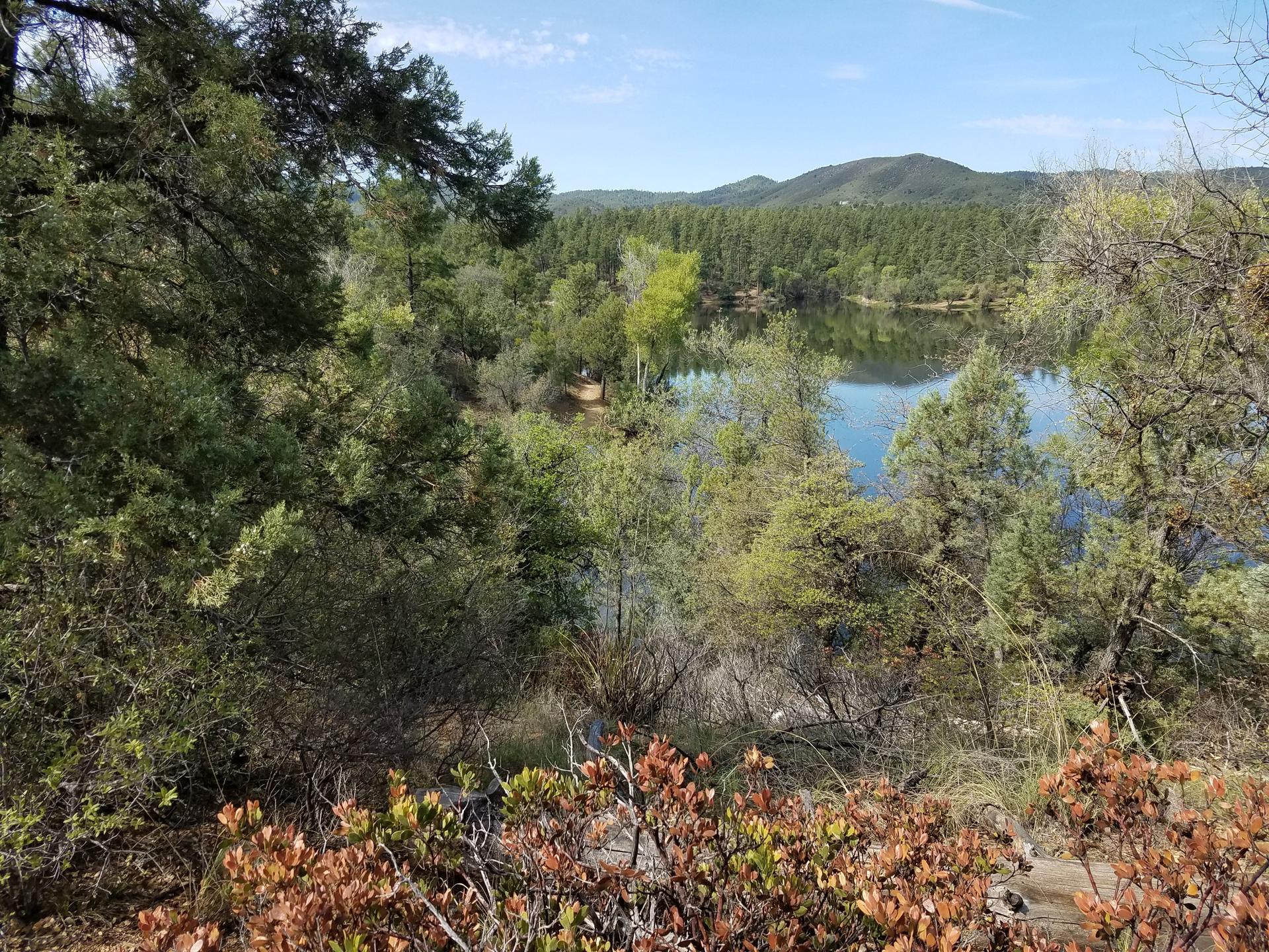 Elevated view of a lake surrounded by lush green trees under a blue sky.