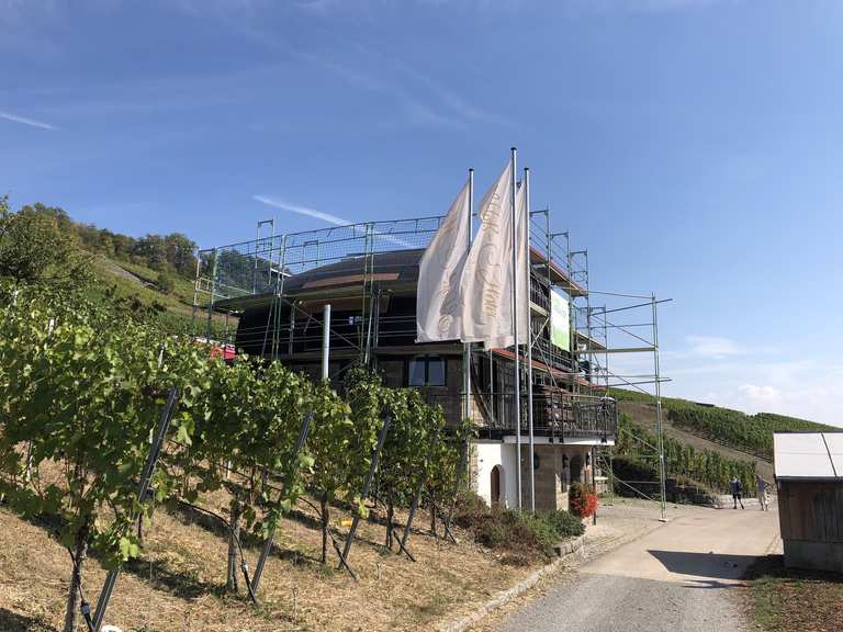 Ingelfinger Fass Wanderungen und Rundwege komoot