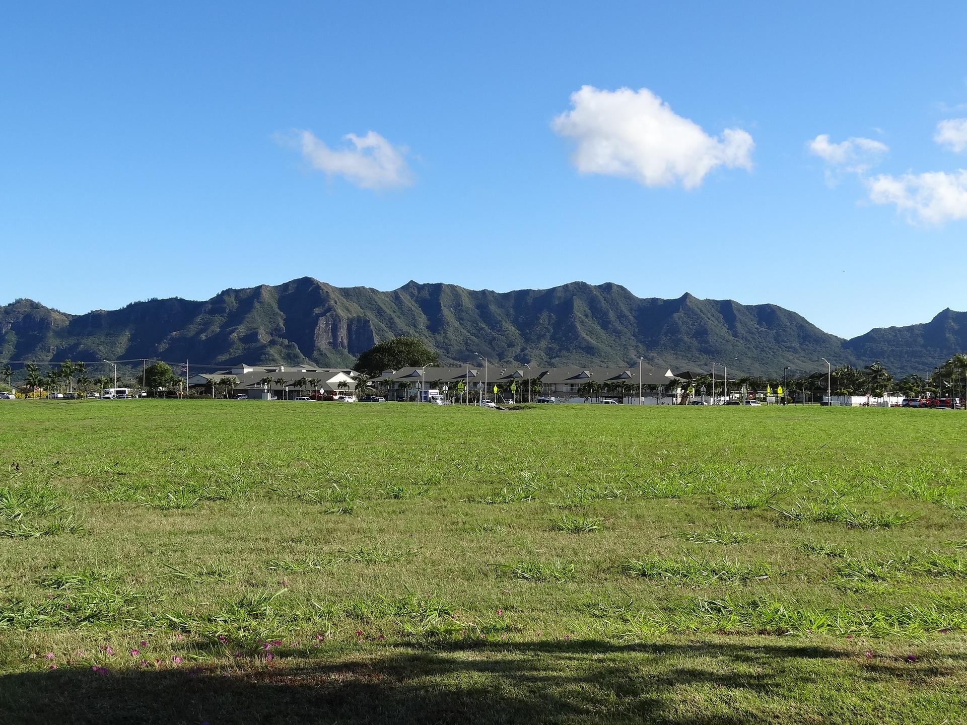 A wide green field with distant mountains under a clear blue sky.