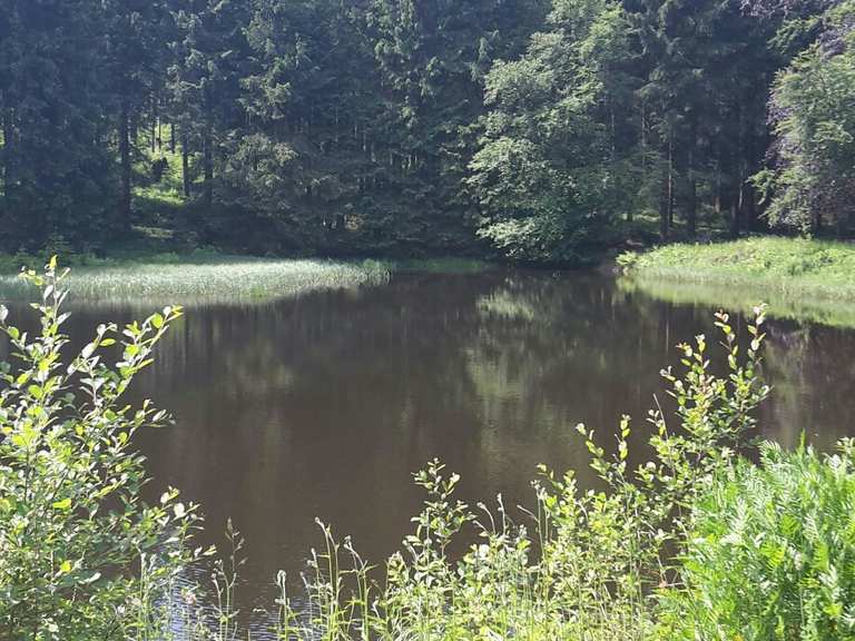 Schwarzer Teich wandelroutes en hikes Komoot