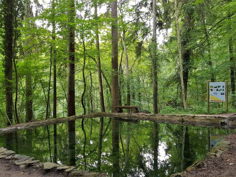 Kalktuffquelle Wanderungen und Rundwege komoot