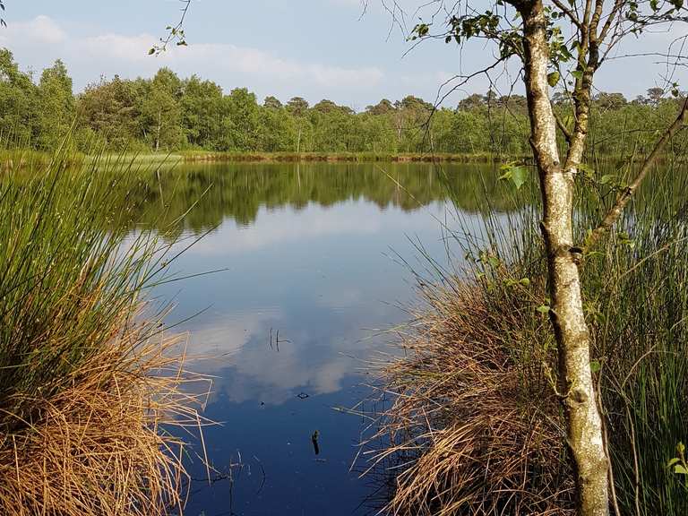 Großer Teich Venner Moor Regierungsbezirk Münster, Nordrhein