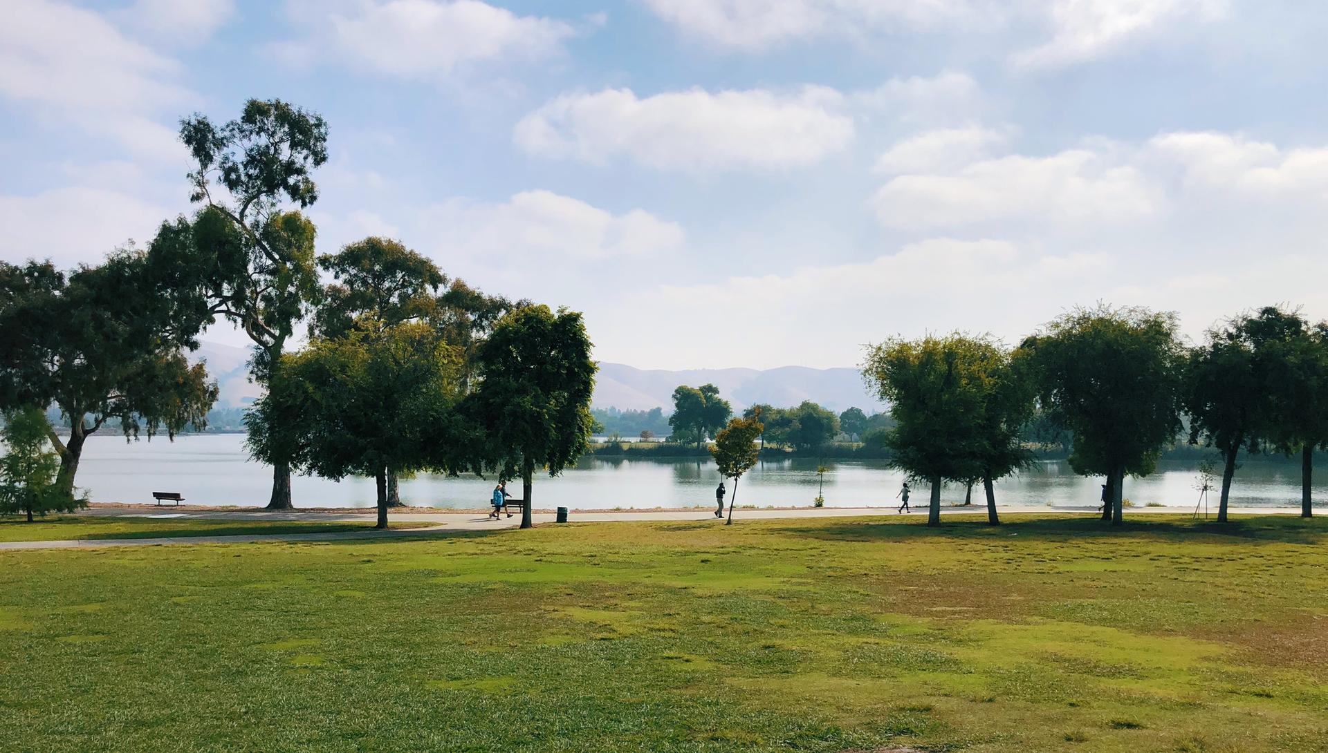 A green grassy field leads to a lake with trees and people walking.
