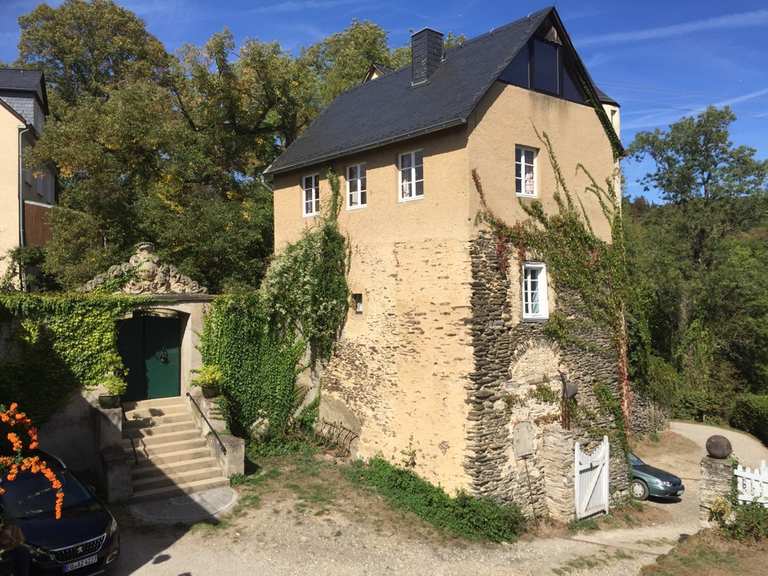 Schloss Schöneck Wanderungen und Rundwege komoot