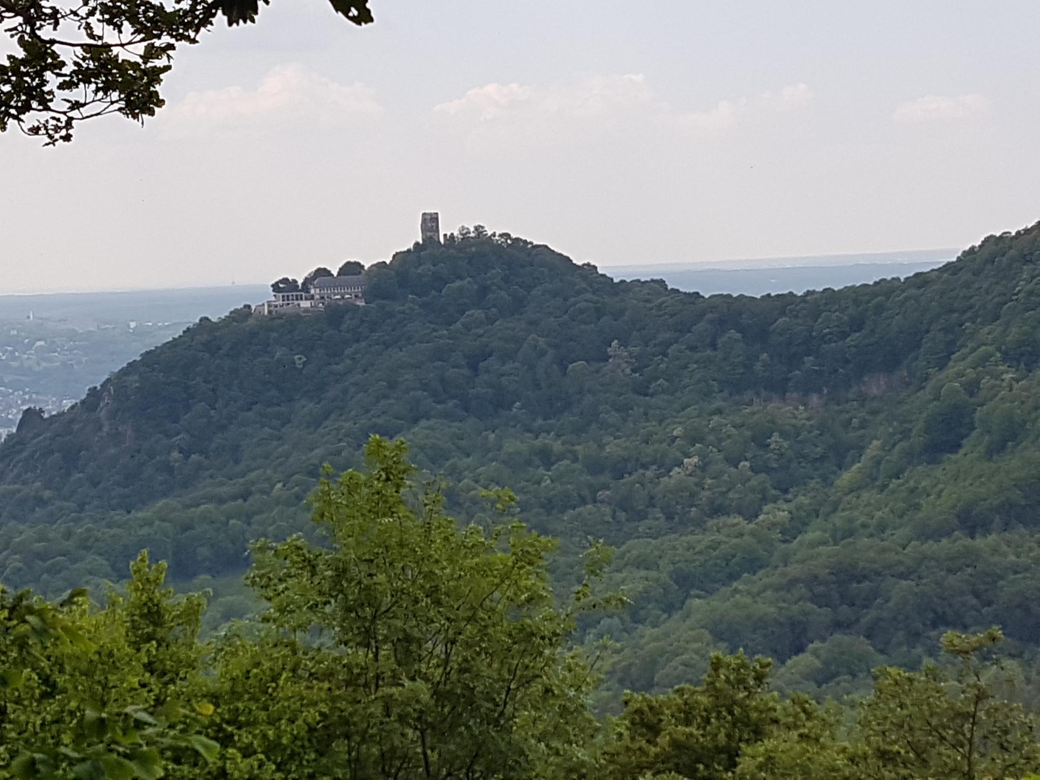 Aussicht Auf Den Drachenfels: Wanderungen Und Rundwege | Komoot