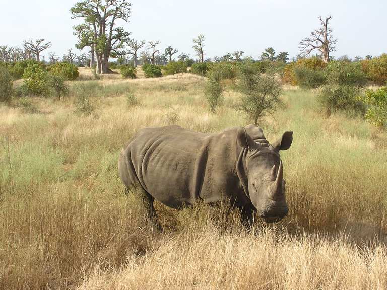 Réserve de Bandia Wanderungen und Rundwege komoot