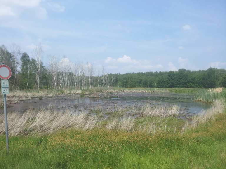 Großes Torfmoor Radtouren und Radwege komoot
