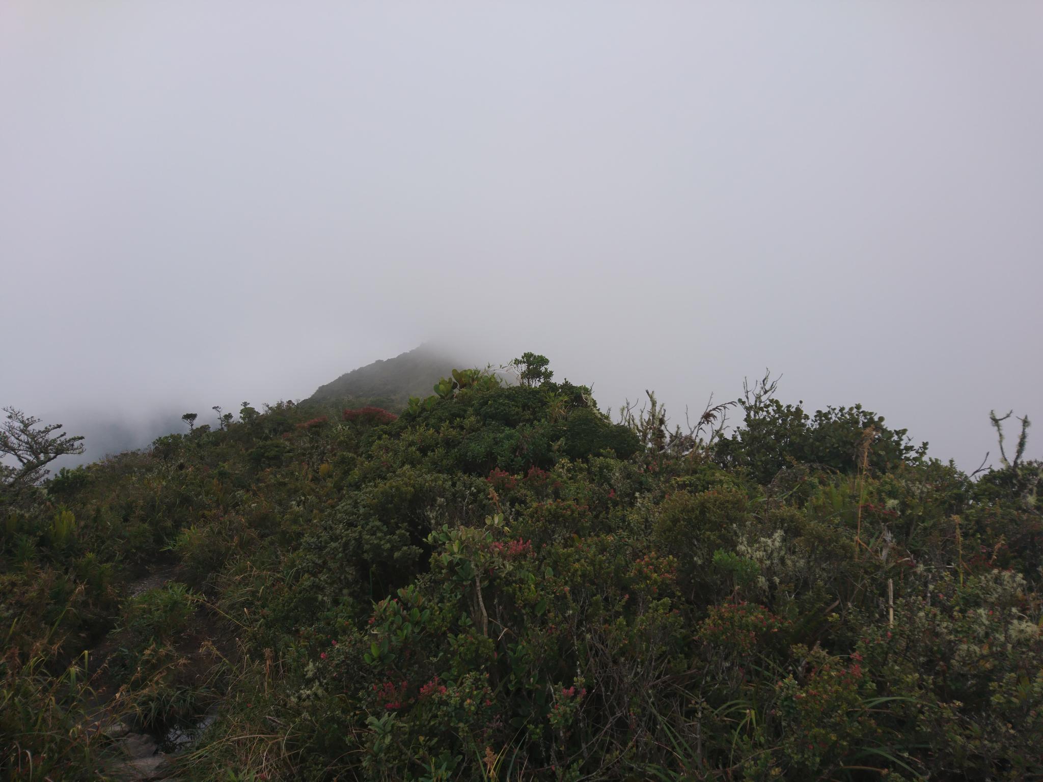 The best walks and hikes in Parque Nacional Podocarpus | Komoot