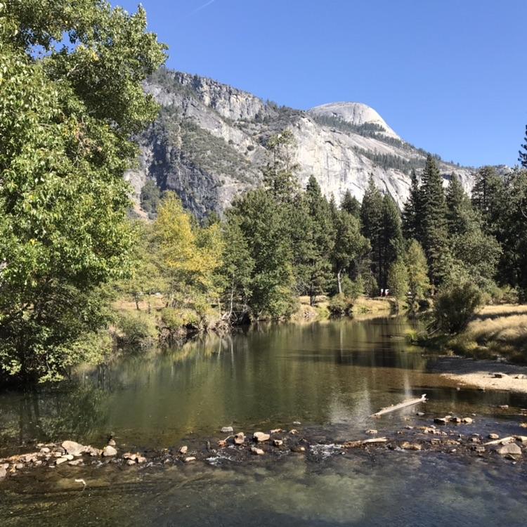 A calm river flows past green and yellow trees with a large mountain backdrop.