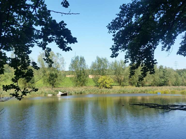 Rotthäuser Bachtal: Wanderungen und Rundwege | komoot