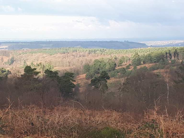 Leith Hill Routes for Walking and Hiking Komoot