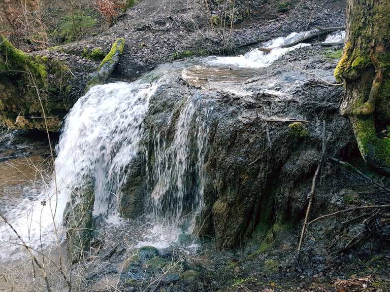 Wasserfall ab der Kalktuffquelle MountainbikeTouren und Trails komoot