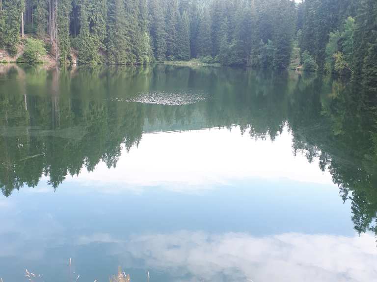 Schalker Teich Routes for Walking and Hiking Komoot