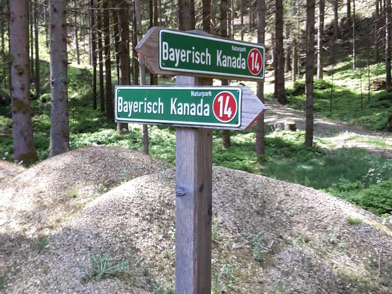 Rundwanderweg Bayerisch Kanada: Wanderungen und Rundwege | komoot