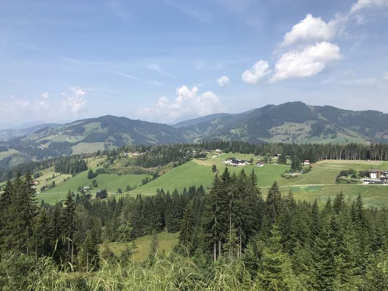 Waldgasthof - Flachau, Salzburg | Mountainbiketipps ...