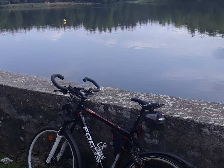 Erzengler Teich MountainbikeTouren und Trails komoot