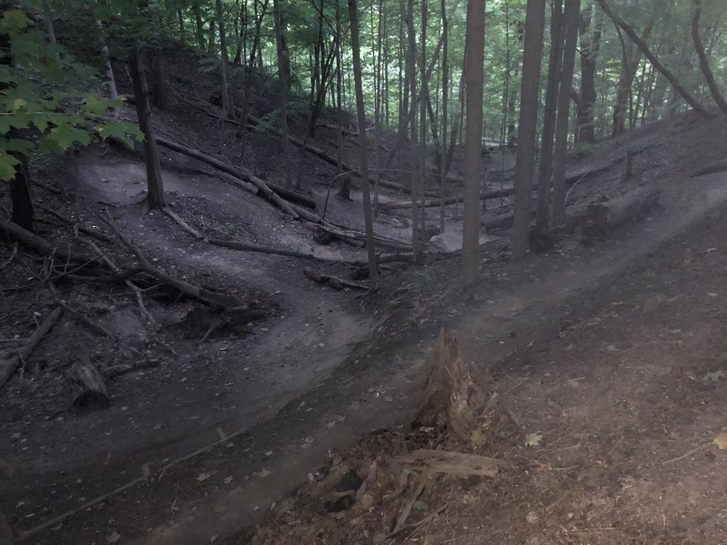 A dark, steep dirt path descends into a heavily wooded ravine.
