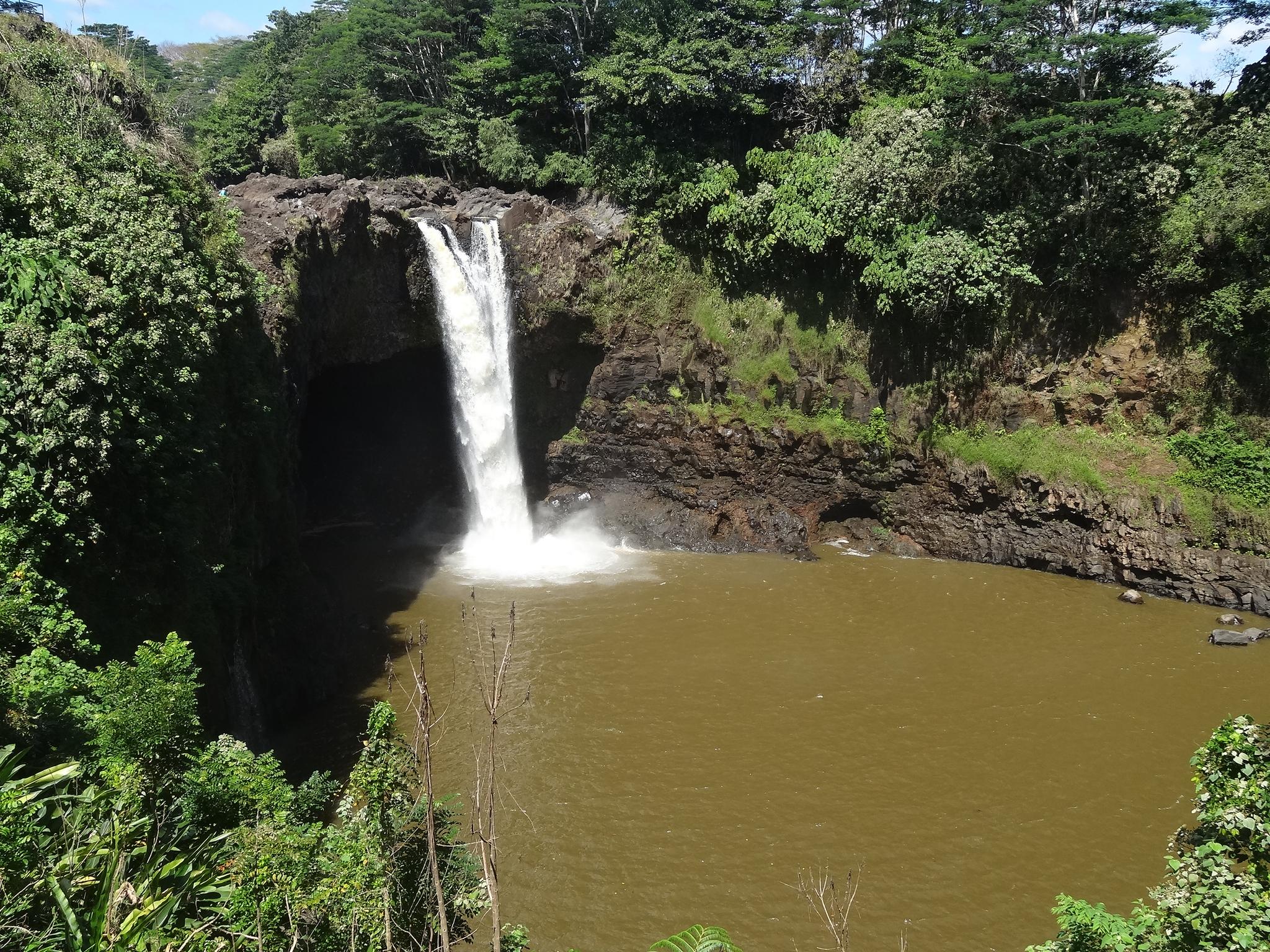 A powerful waterfall plunges into a murky pool, surrounded by dense green foliage.