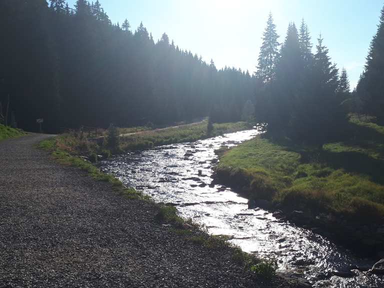 Modrava: Mountainbike-Touren und -Trails | komoot