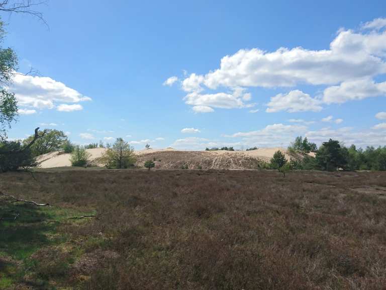 Aussichtsplattform Wanderdüne Wanderungen und Rundwege komoot