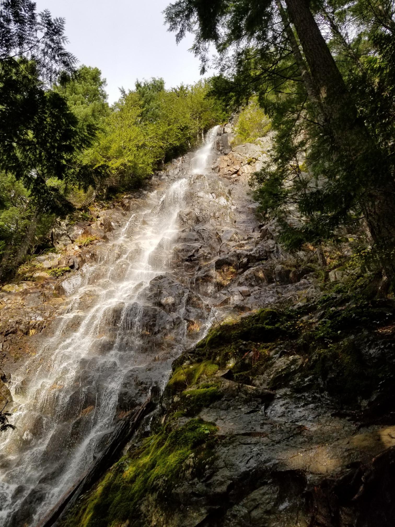 A tall waterfall cascades down a rocky, mossy cliff face in a forest.