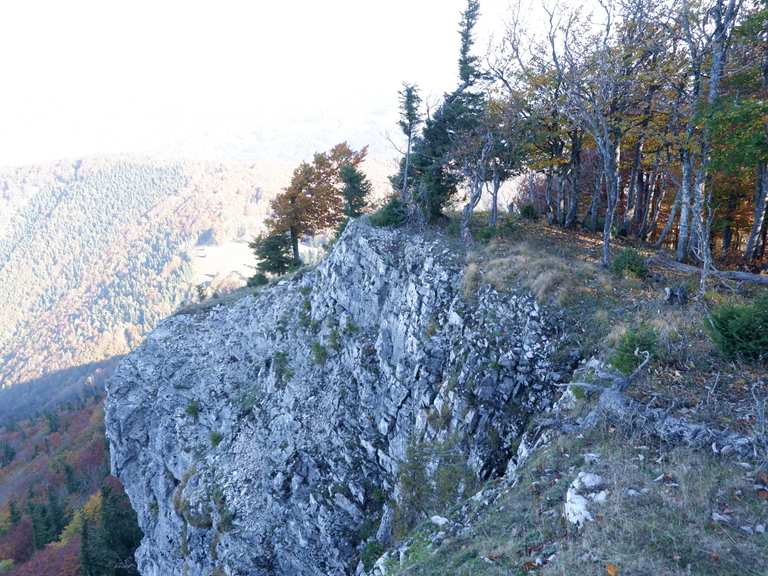 Otto Kandler Haus 1187m – Hohenstein Runde von Sois | Wanderung | Komoot