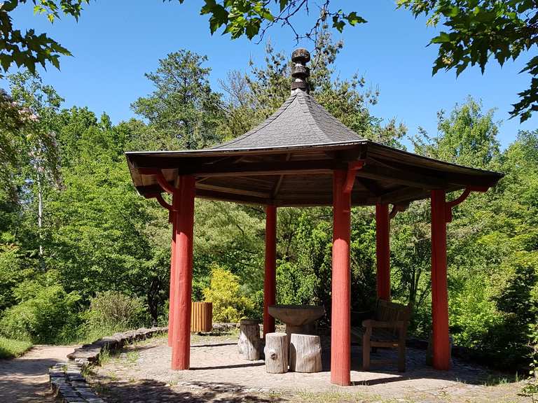 Forstbotanischer Garten Eberswalde Wanderungen und Rundwege komoot