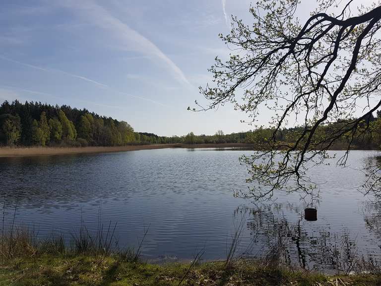Wildecker Teiche Wanderungen und Rundwege komoot