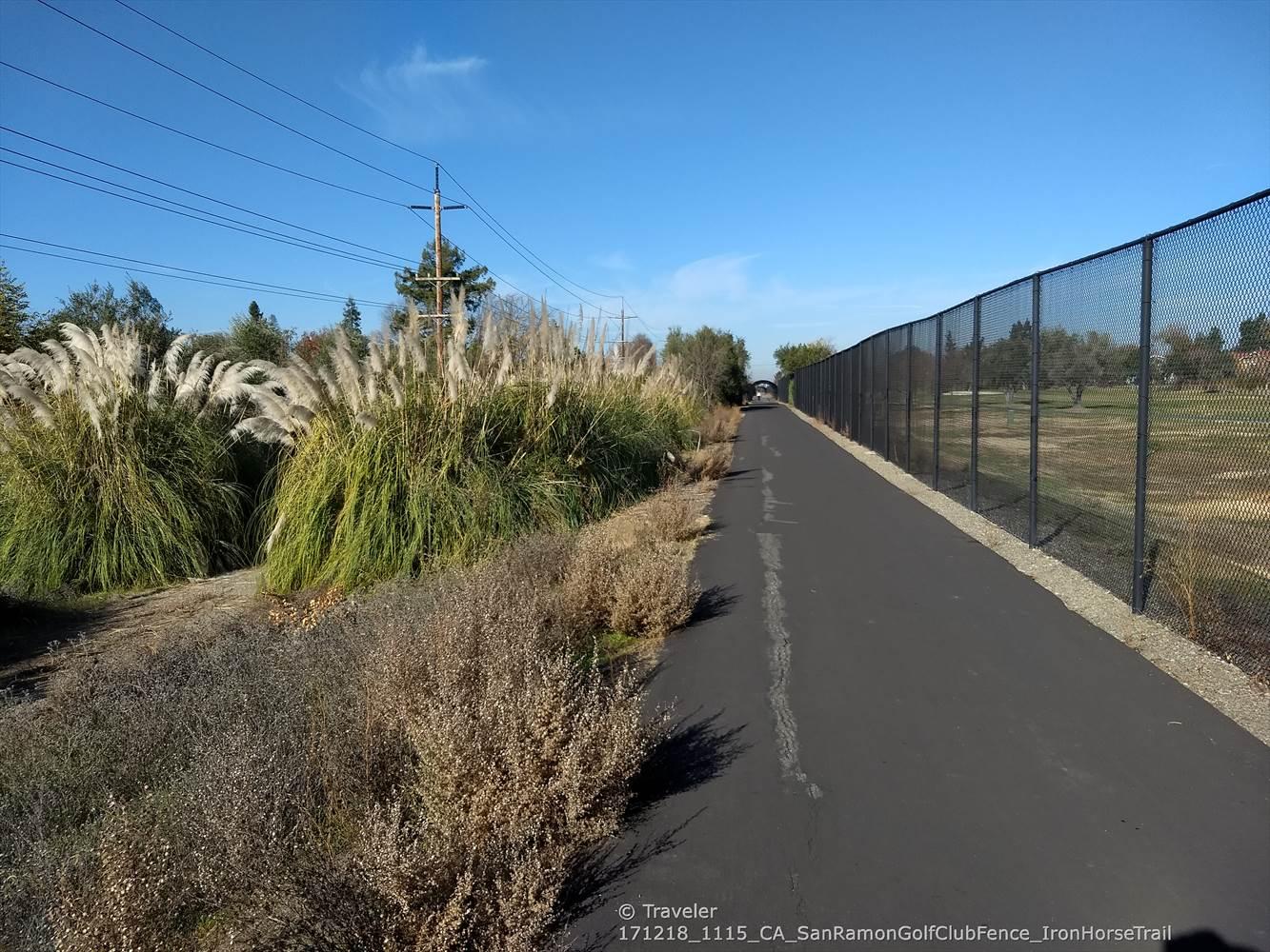 Paved path alongside tall grasses and a fence under a clear blue sky.