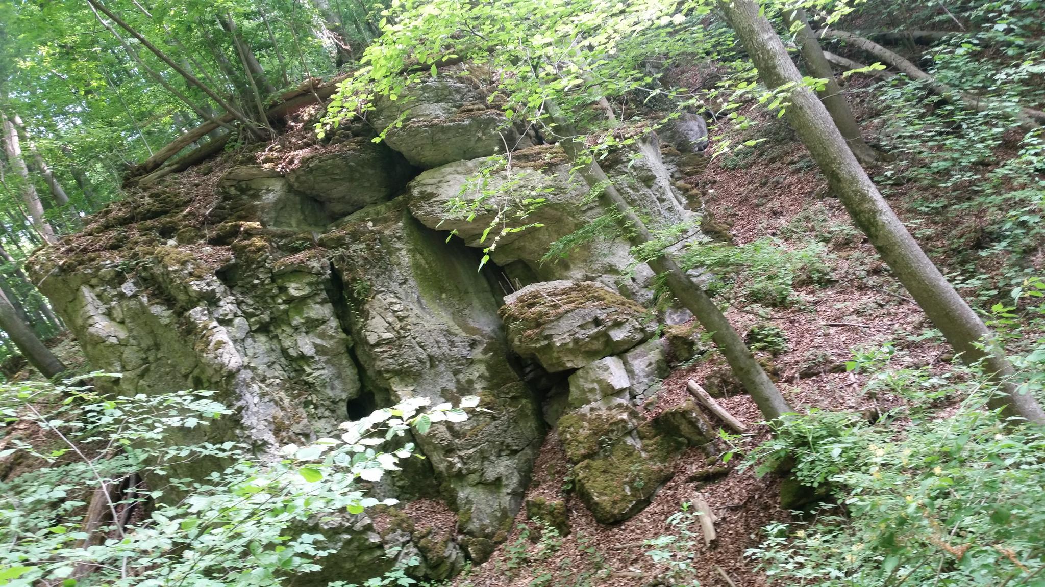 Singletrail zentralschweiz