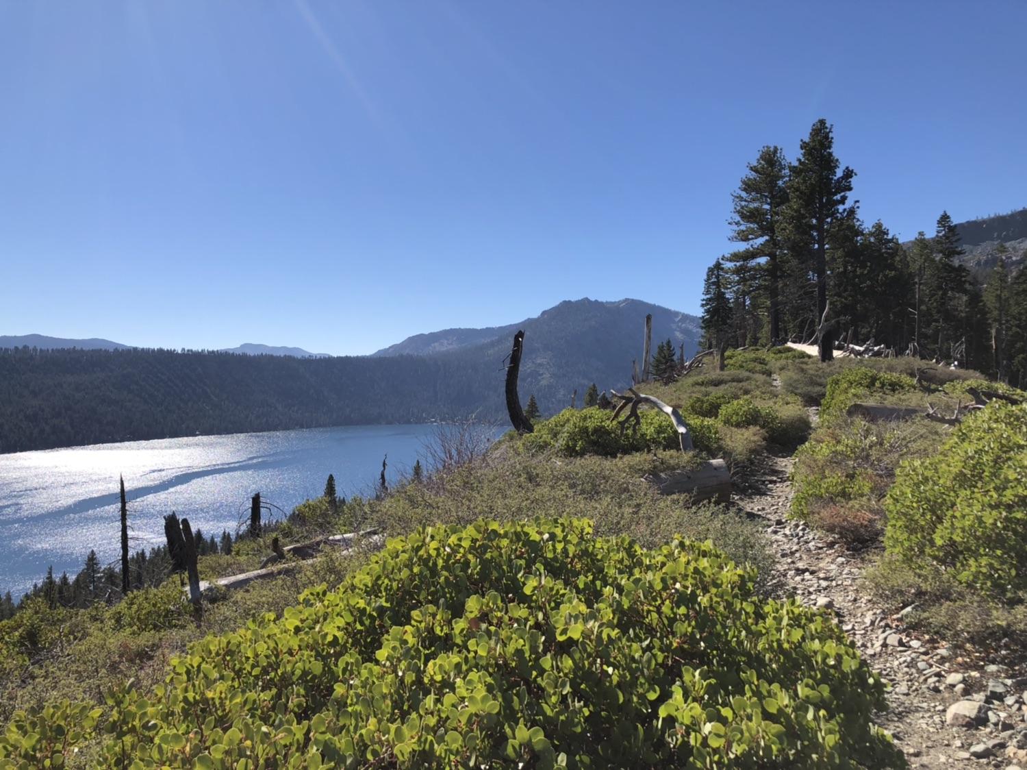 Dirt trail through green bushes overlooking a sparkling blue lake on a sunny day.