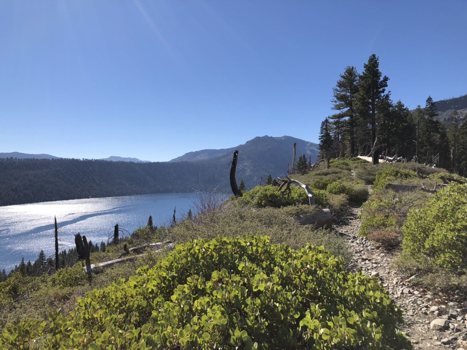 Dirt trail through green bushes overlooking a sparkling blue lake on a sunny day. - Floating Island and Cathedral Lakes Trail