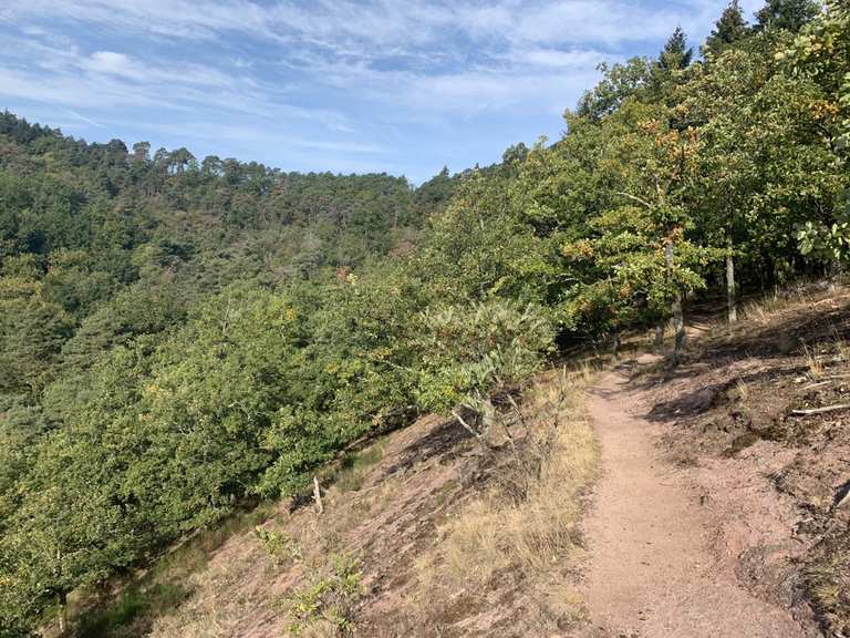 Panoramaabschnitt mit Steinplatten - Albersweiler, Südliche Weinstraße