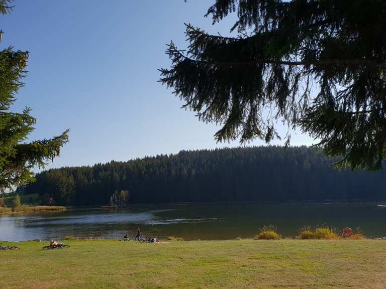Eschacher Weiher Wanderungen und Rundwege komoot