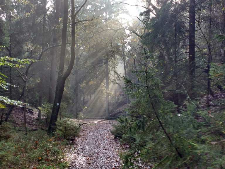 Höllenschlucht Wanderungen und Rundwege komoot