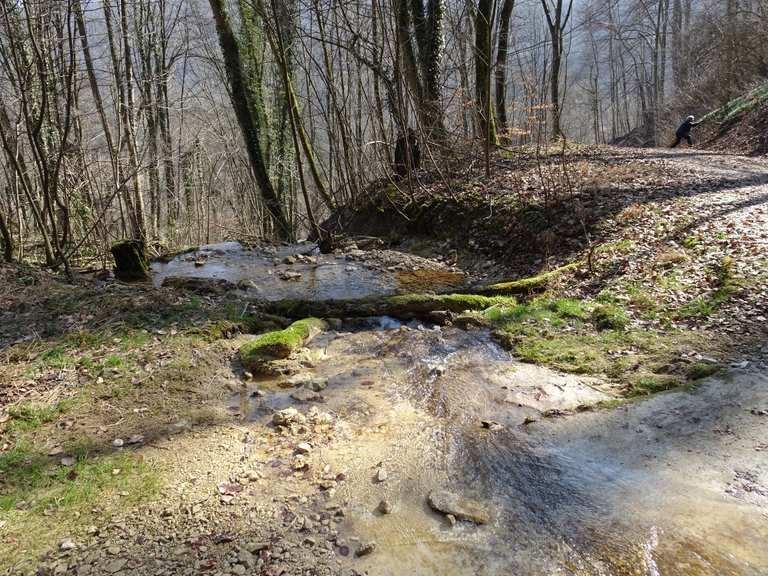 Rötelbach: Wanderungen und Rundwege | komoot