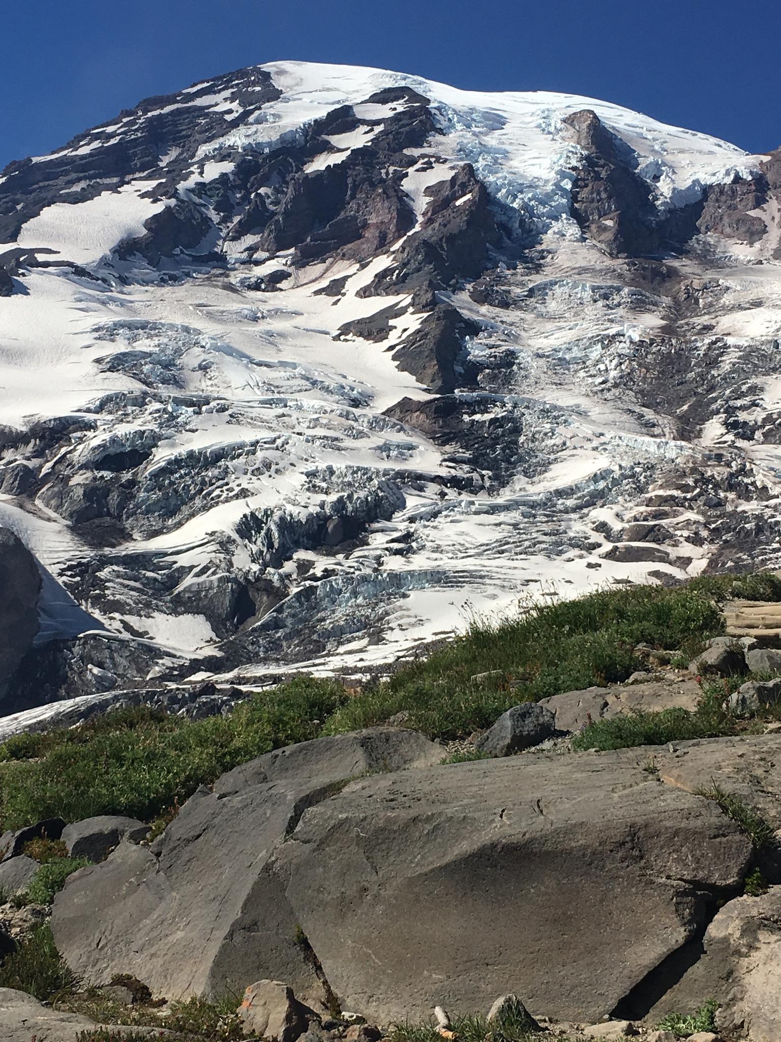 Snowy mountain peak with glaciers, rocky foreground, and green shrubs under blue sky.