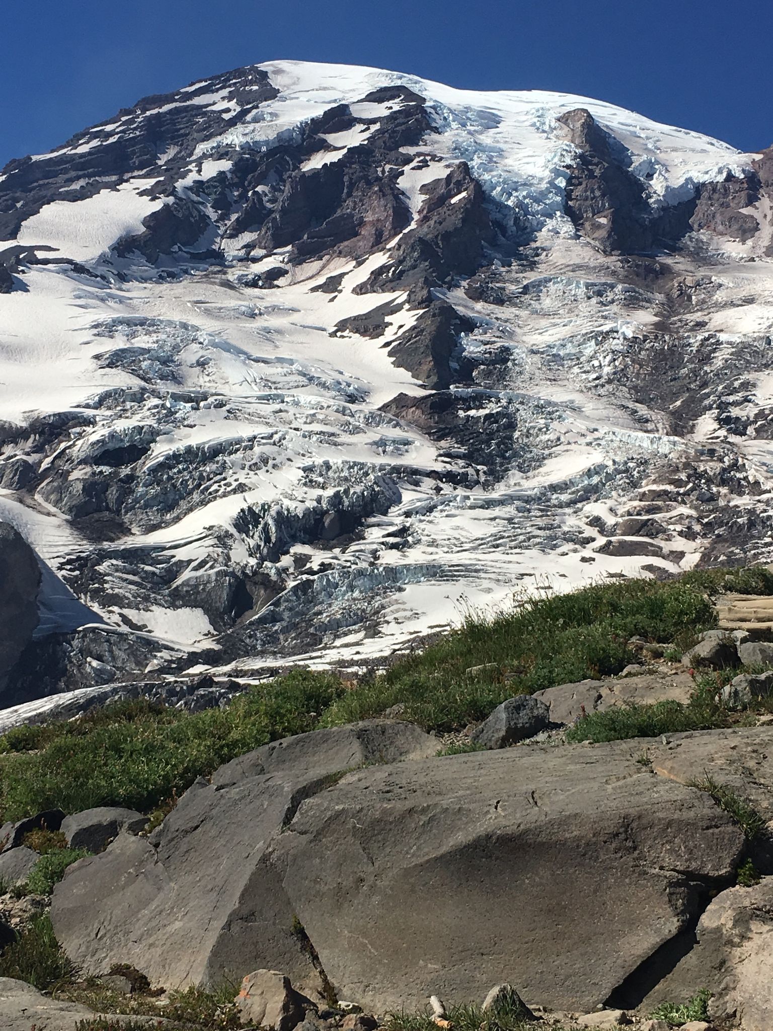 Snowy mountain peak with glaciers, rocky foreground, and green shrubs under blue sky. - Skyline Trail Loop