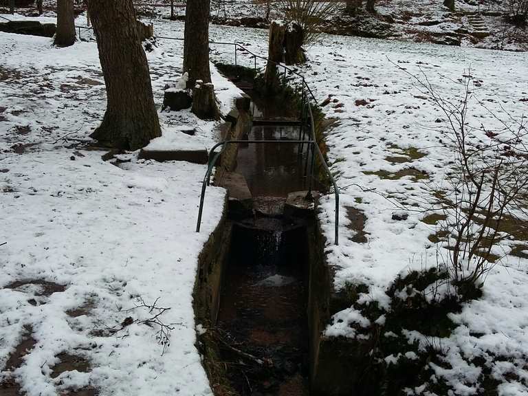 Wassertretanlage im Kohlgrund Wanderungen und Rundwege komoot