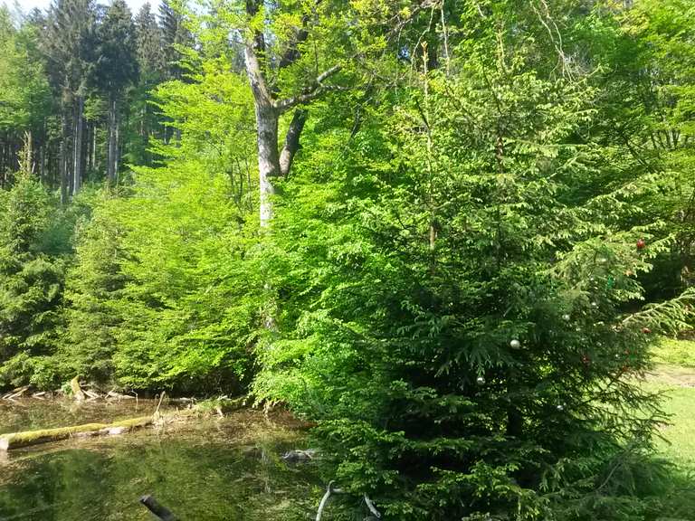39+ Knöpfelstaler Teich, Schau sie hier an und plan dein eigenes