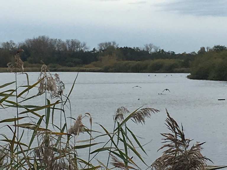 Engelermeer Wanderungen und Rundwege komoot