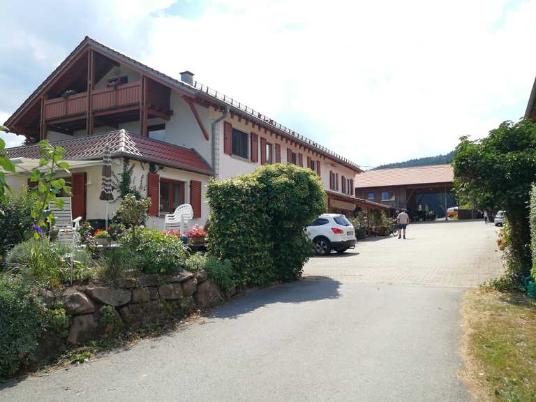 Molkerei Hüttenthal Wanderungen und Rundwege komoot