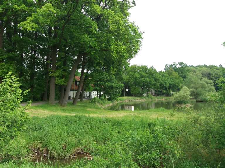 Mühlenburger Teich Mühlenteich Königsbrück Loop from Westerenger