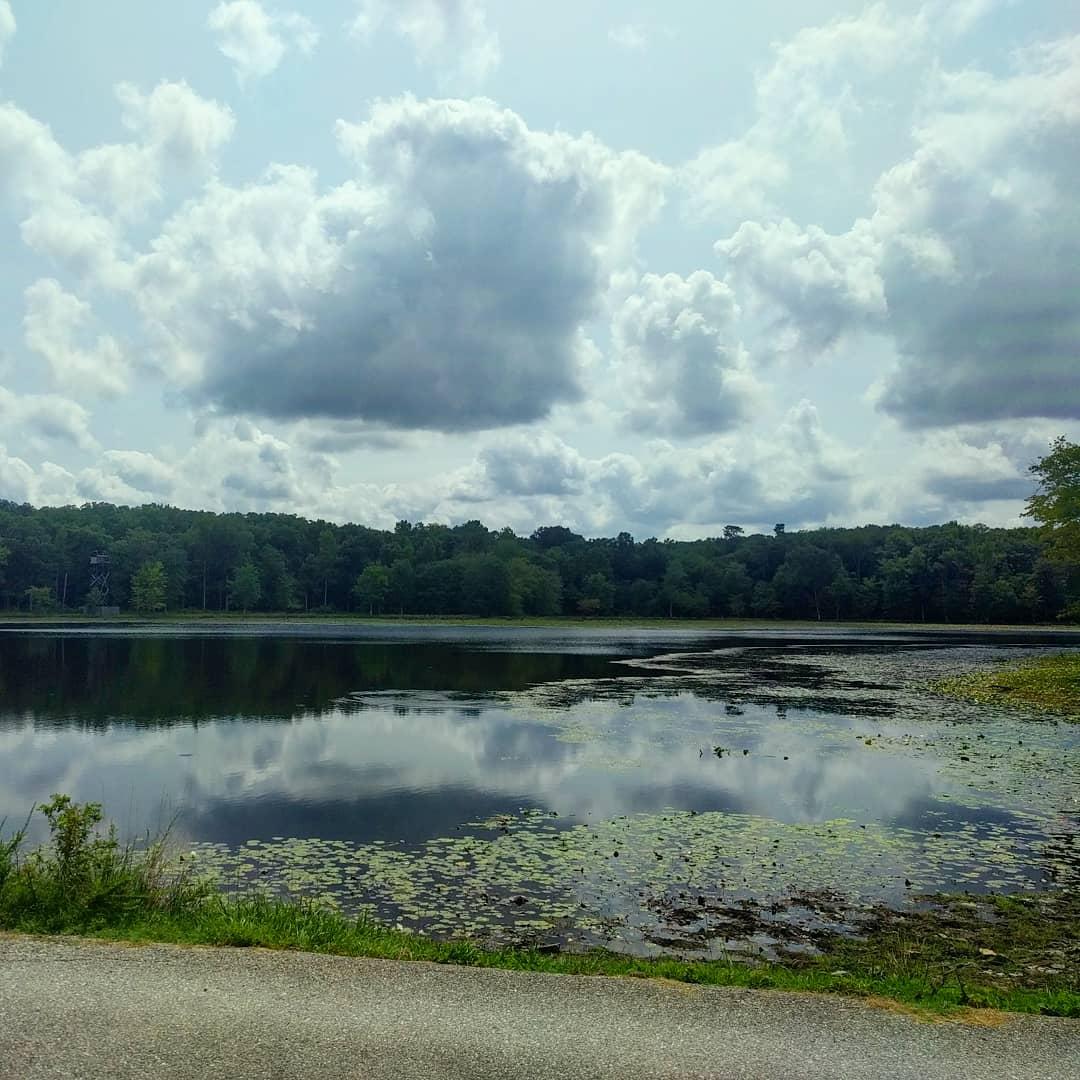 A calm lake reflecting a cloudy sky, surrounded by dense green forest.