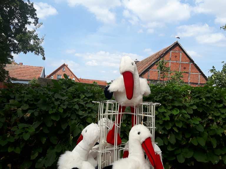 Storchendorf Rühstädt Radtouren und Radwege komoot