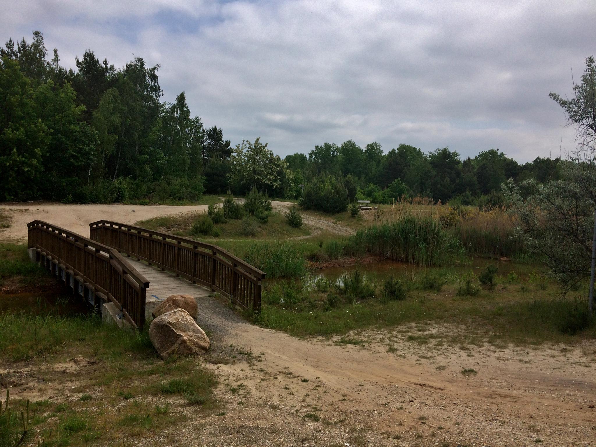 0?width=320&height=180&crop=true&q=70 Radverleih D&uuml;bener Heide &ndash; Neuh&auml;useer See, Petersroda