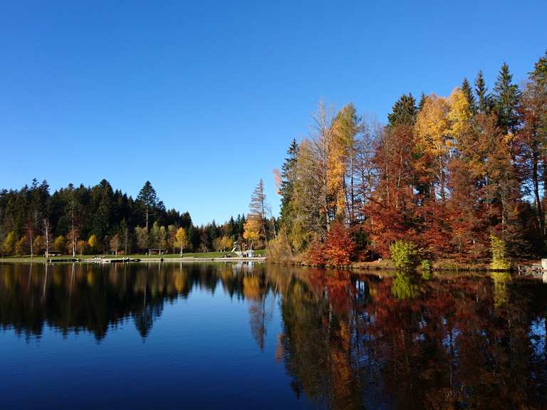 Waldsee bei lindenberg routes for walking and hiking komoot