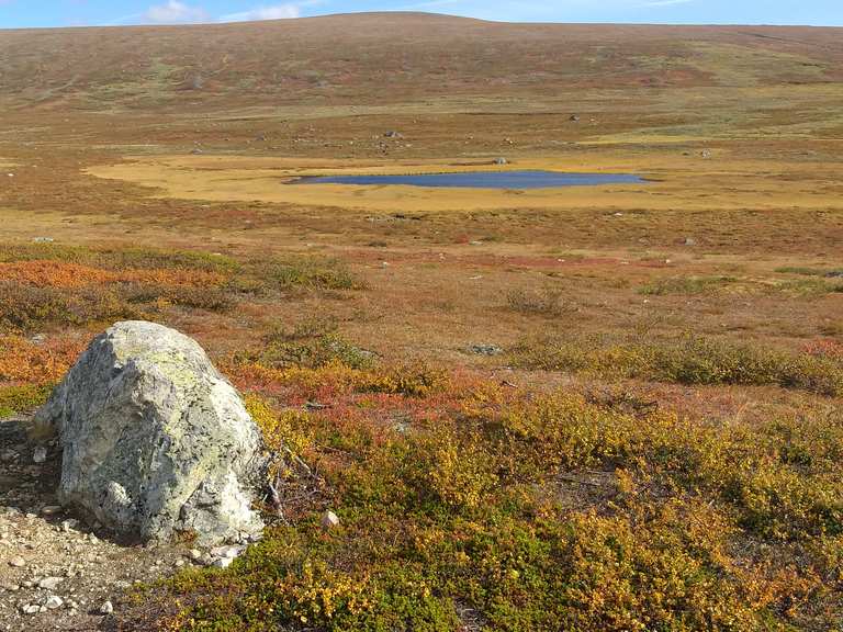 Kungsleden (Nord) | Wanderung | Komoot