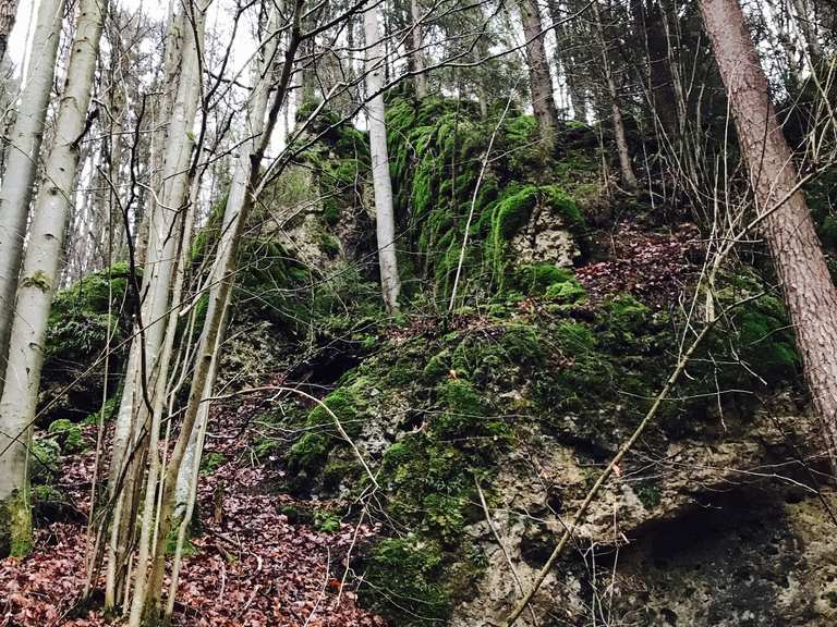 Das Fuchsloch Wanderungen und Rundwege komoot